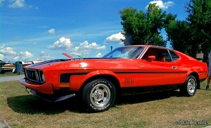1973 FORD MUSTANG MACH1 itH[hE}X^OE}bn1j